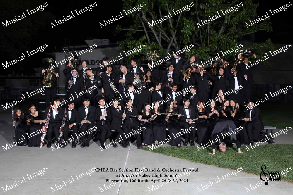 Musical Images